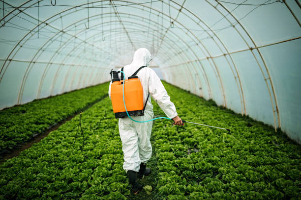 Best Pest Prevention Services  in Celina, TN